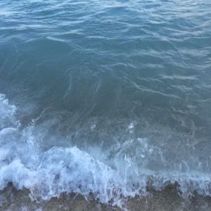 Meet your Posher, Aria